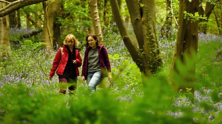 Spring Walks NI